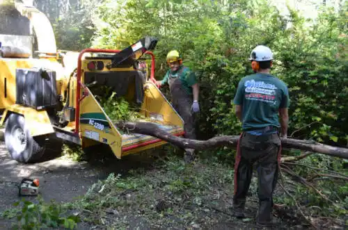 tree services Hilliard